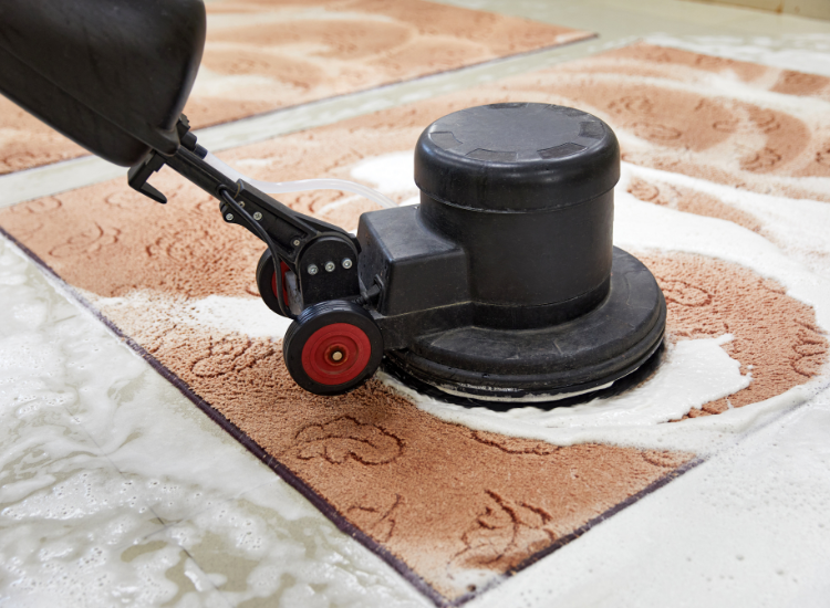 How to Choose the Right Carpet Cleaning Service in Chicago for Your Home