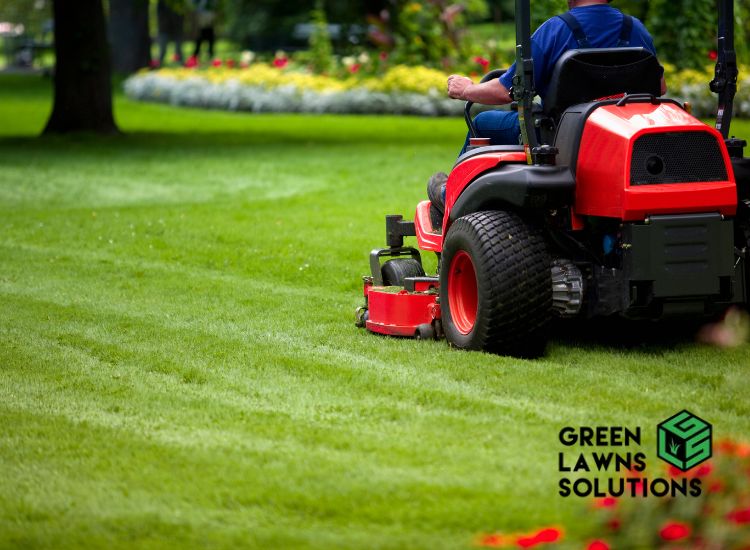 Best Practices for Lawn Mowing in Orlando